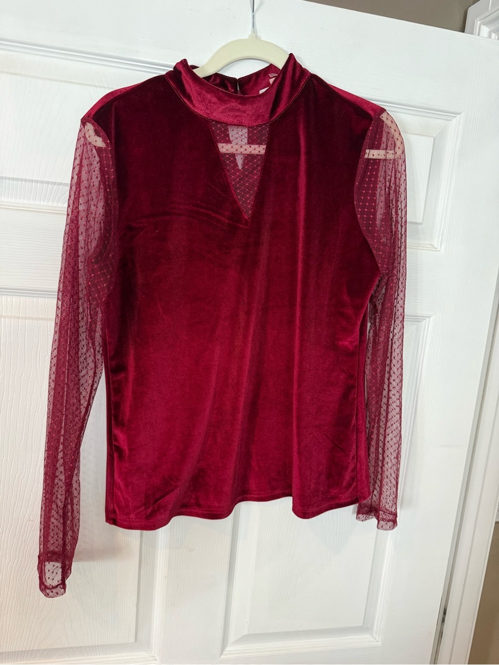 Mock Neck Velvet Top with Sheer Dot Sleeves - Burgundy